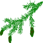 Plant 230 Clip Art