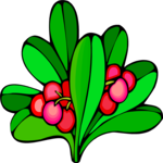 Berries 11 Clip Art