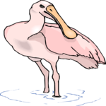 Bird 088 Clip Art