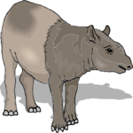 Tapir 5 Clip Art