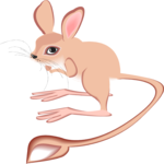 Jerboa 5 Clip Art