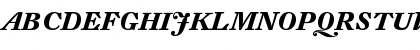 DTL Fleischmann T Bold Italic Font
