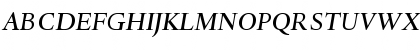 DTLHaarlemmerSD MediumItalic Font