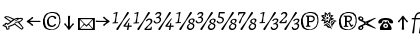 JournalItalicFractions Regular Font