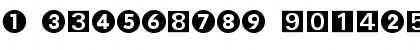 Numerics P05 Font