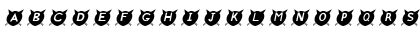 CatsMeow Italic Font