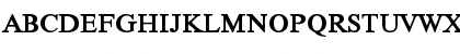 VietnameseTimesSSK Bold Font