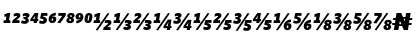 WhitneyNumeric Medium Italic Font
