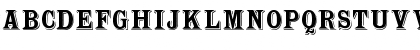 WoodTypesMK Regular Font