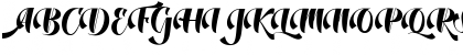 Dustine Script Regular Font