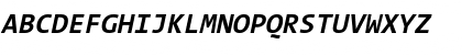 The Sans Mono- Italic Font