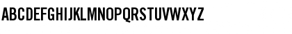 TraditionellSans Bold Font