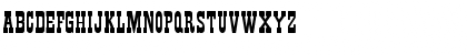 TumbleweedExpandedSSK Regular Font