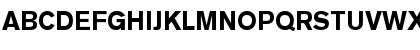 BasicCommercial LT Roman Bold Font