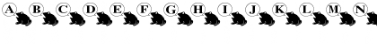 gama Regular Font