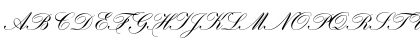 Hogarth Script D Regular Font