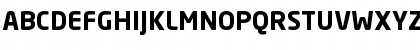 Neo Sans Bold Font