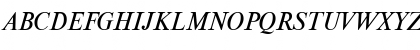 NewtonISOCTT Italic Font