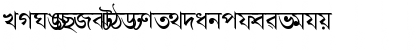 AkrutiBngBharati Normal Font