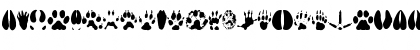 AnimalTracks Regular Font