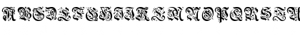 Griffin Regular Font