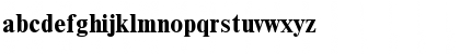 NimbusRomDGR Bold Font