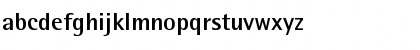 AgfaRotisSemisans Bold Font