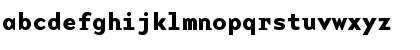 BaseMonoWide Bold Font