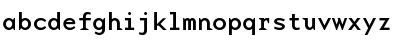 BaseMonoWideReg Roman Font