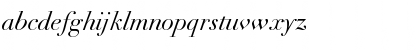 Linotype Didot Italic Font