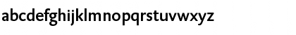 DTLCaspariST Medium Font