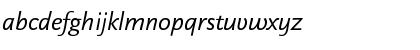 DTLDocumentaSansST Italic Font