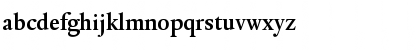 DTLElzevirTMedium Regular Font