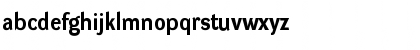 DynaGrotesk R Bold Font