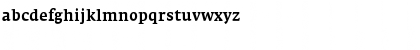 FedraSerifA MediumExpert Font