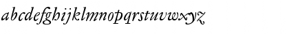 Jannon Text OSF Italic Font