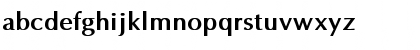 Optima Bold Font