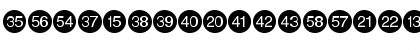 Numerics P03 Font