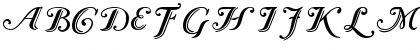 Caslon Calligraphic Initials Regular Font