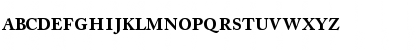 CaslonProSSK Bold Font