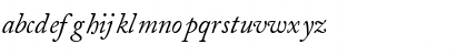 CaslonSSK Italic Font