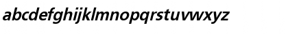 Basler Oblique  Bold Bold Font