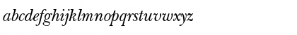 NewBaskerville Italic Font