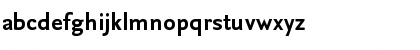 NexusSansTF-Bold Regular Font