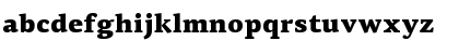 PF Agora Serif Pro Black Font