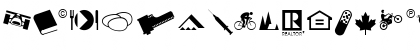 PIXymbolsDingbats Medium Italic Font