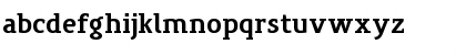 PreciousSerifBold Regular Font