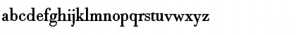 Robusta Roman Font