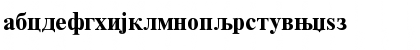 RomanCyrillic BoldA Font