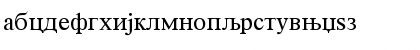 RomanCyrillic Regular Font